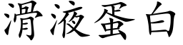 滑液蛋白 (楷体矢量字库)