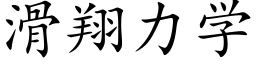 滑翔力学 (楷体矢量字库)