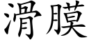 滑膜 (楷体矢量字库)