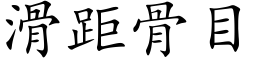 滑距骨目 (楷体矢量字库)