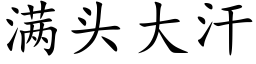 滿頭大汗 (楷體矢量字庫)