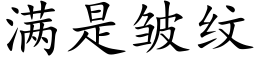 满是皱纹 (楷体矢量字库)