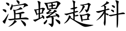 滨螺超科 (楷体矢量字库)