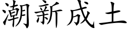 潮新成土 (楷體矢量字庫)