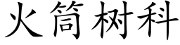 火筒樹科 (楷體矢量字庫)