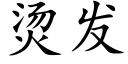 燙發 (楷體矢量字庫)