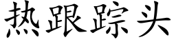 熱跟蹤頭 (楷體矢量字庫)