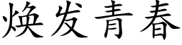 焕发青春 (楷体矢量字库)