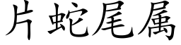 片蛇尾属 (楷体矢量字库)