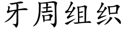 牙周组织 (楷体矢量字库)