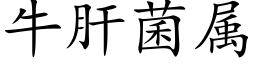 牛肝菌属 (楷体矢量字库)