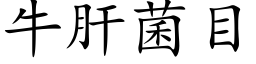 牛肝菌目 (楷体矢量字库)