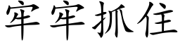 牢牢抓住 (楷体矢量字库)