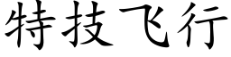 特技飞行 (楷体矢量字库)