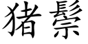 猪鬃 (楷体矢量字库)