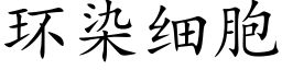 环染细胞 (楷体矢量字库)