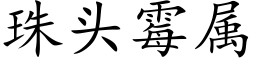 珠头霉属 (楷体矢量字库)