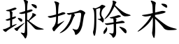 球切除术 (楷体矢量字库)