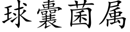 球囊菌属 (楷体矢量字库)