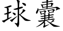 球囊 (楷体矢量字库)