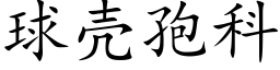 球壳孢科 (楷体矢量字库)