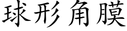 球形角膜 (楷体矢量字库)