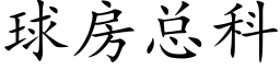 球房总科 (楷体矢量字库)