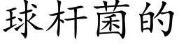 球杆菌的 (楷体矢量字库)