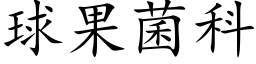 球果菌科 (楷体矢量字库)