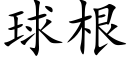 球根 (楷体矢量字库)