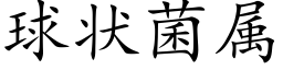 球状菌属 (楷体矢量字库)