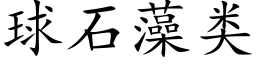 球石藻类 (楷体矢量字库)