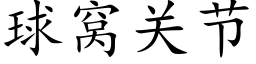 球窝关节 (楷体矢量字库)