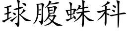 球腹蛛科 (楷体矢量字库)