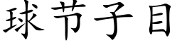 球节子目 (楷体矢量字库)