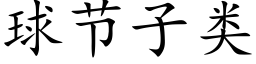 球节子类 (楷体矢量字库)