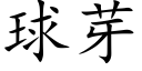 球芽 (楷体矢量字库)