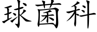 球菌科 (楷体矢量字库)