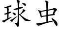 球虫 (楷体矢量字库)