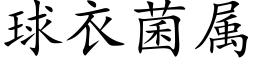 球衣菌属 (楷体矢量字库)