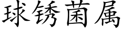 球锈菌属 (楷体矢量字库)