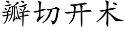 瓣切开术 (楷体矢量字库)