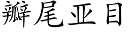 瓣尾亞目 (楷體矢量字庫)