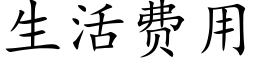 生活费用 (楷体矢量字库)