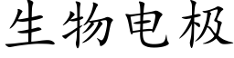 生物电极 (楷体矢量字库)