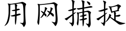 用网捕捉 (楷体矢量字库)