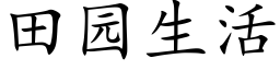 田园生活 (楷体矢量字库)