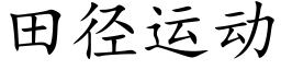 田径运动 (楷体矢量字库)