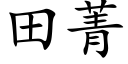 田菁 (楷體矢量字庫)