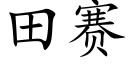 田賽 (楷體矢量字庫)